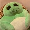turtleshacks